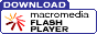 3Wcom - Flash intro
